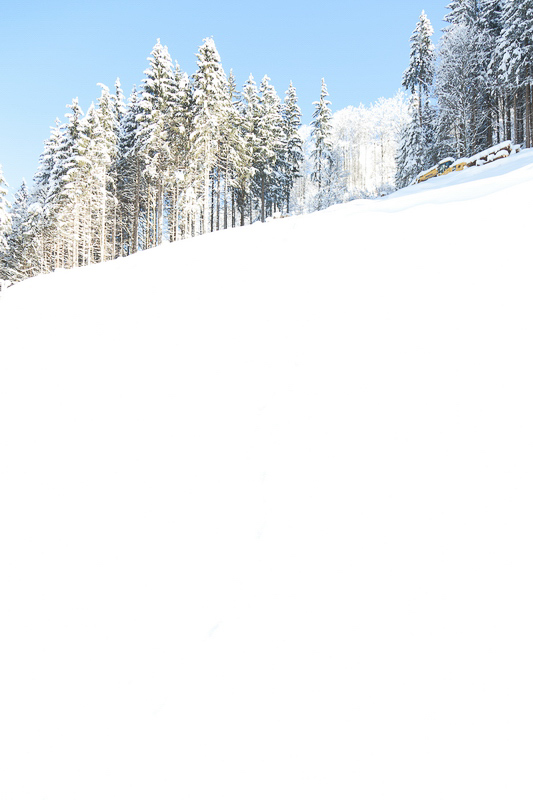 winter_024