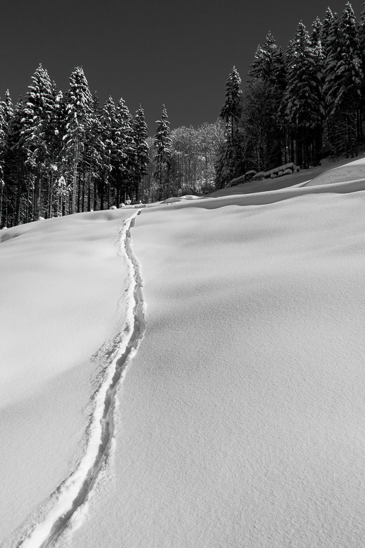 winter_025