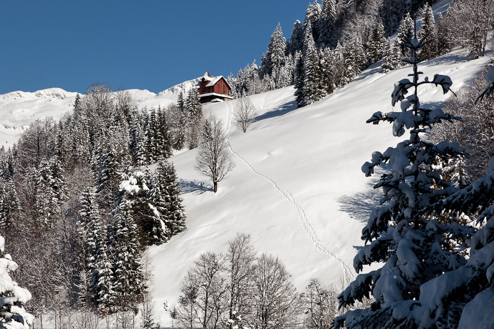 winter_027