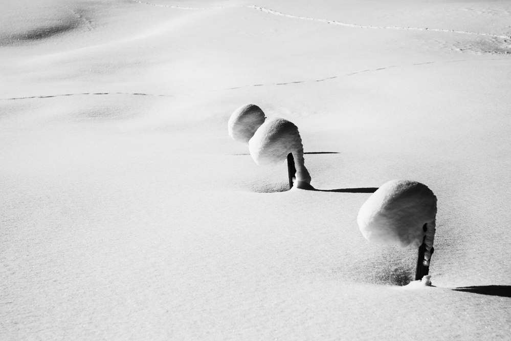 winter_029