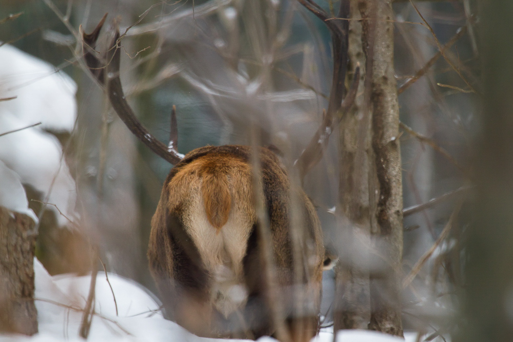winter_033