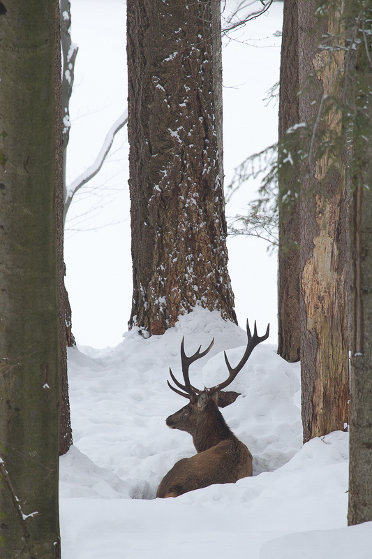 winter_034