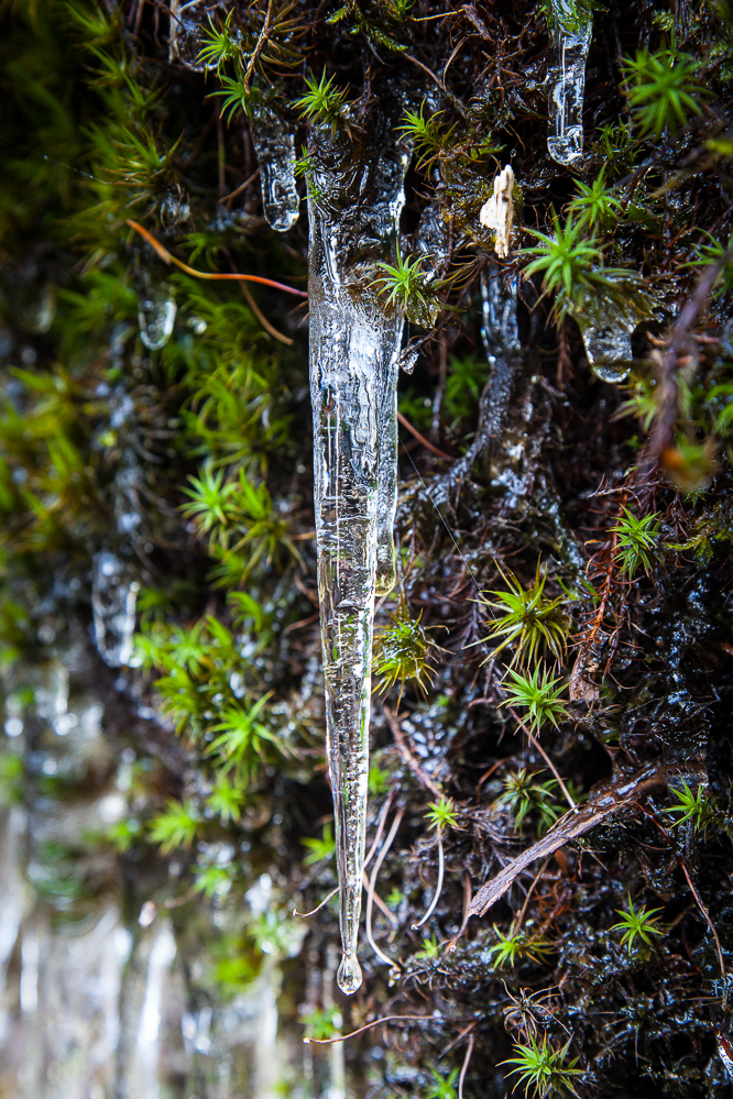 winter18-19-012-Eiswelten