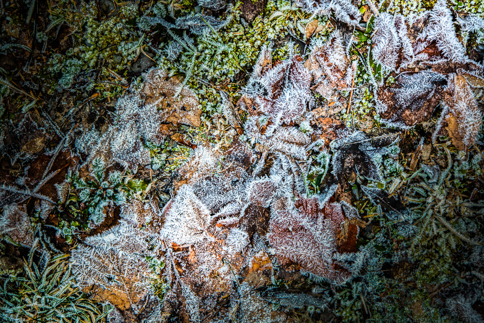 winter18-19-015-Eiswelten