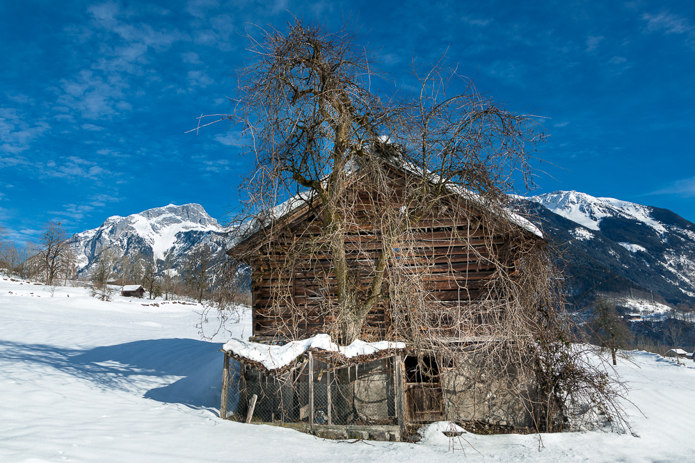 winter18-19-032-Stall