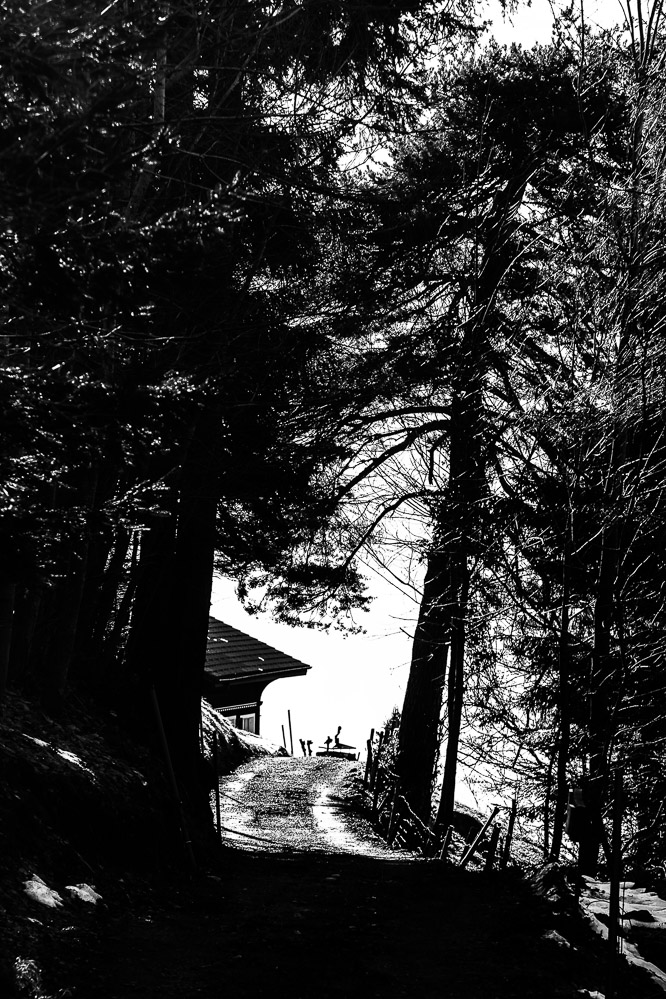 Winter 21-21 04 - Weg