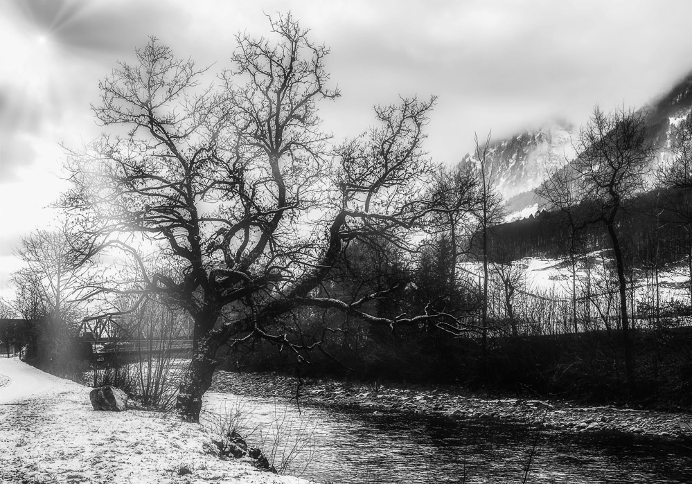 Winter 21-21 16 - An der Linth