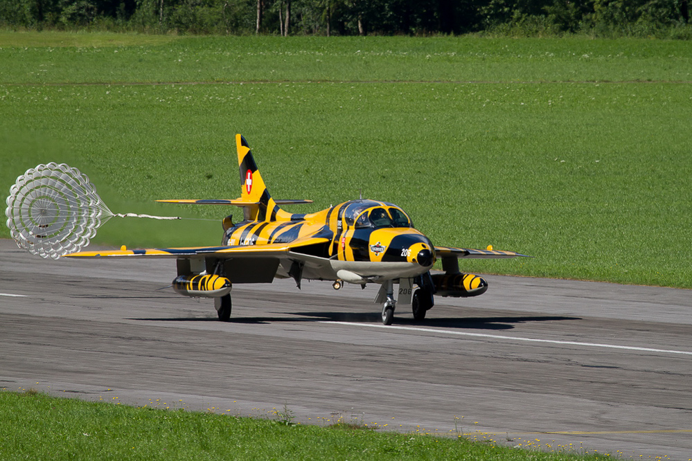 Zigermeet - Fr - 043