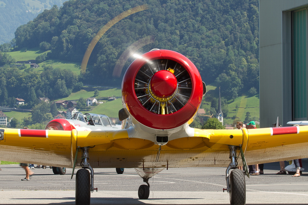 Zigermeet - So - 024