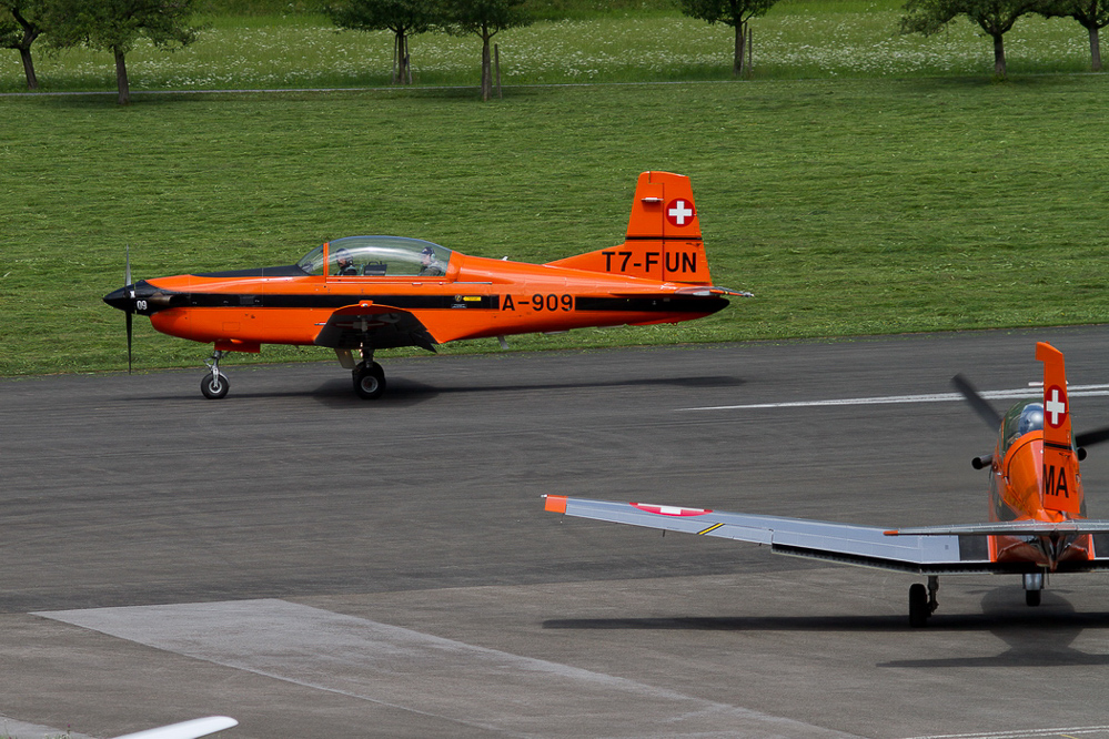ziger12_003