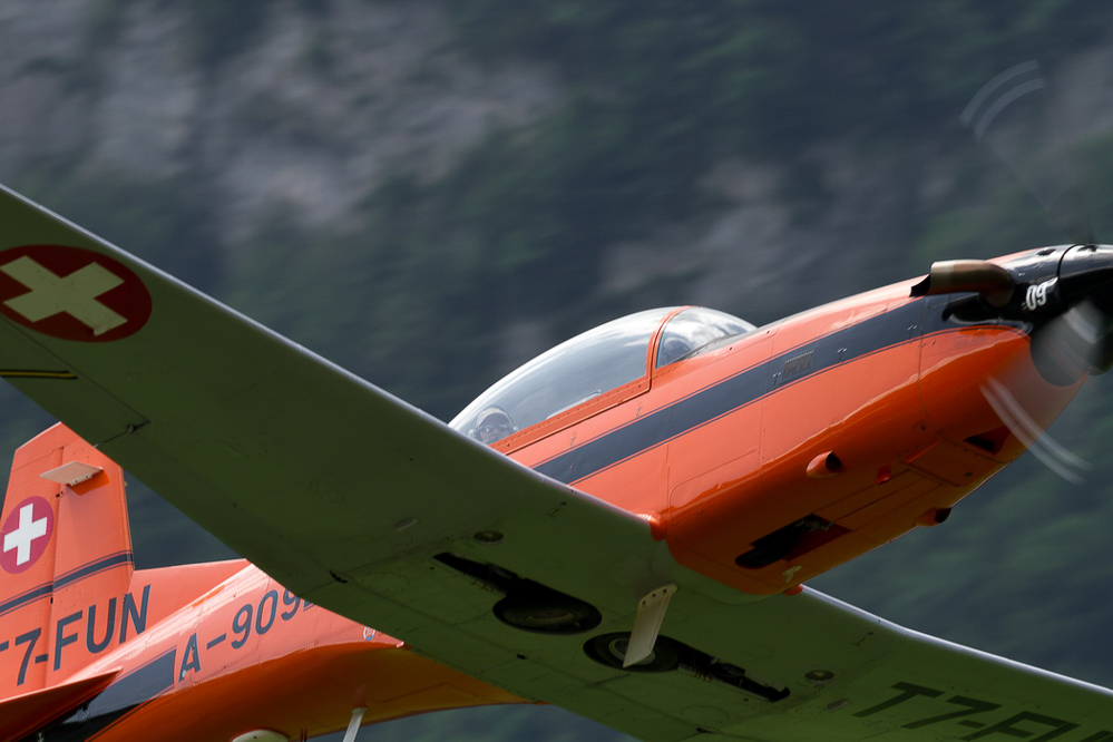 ziger12_051