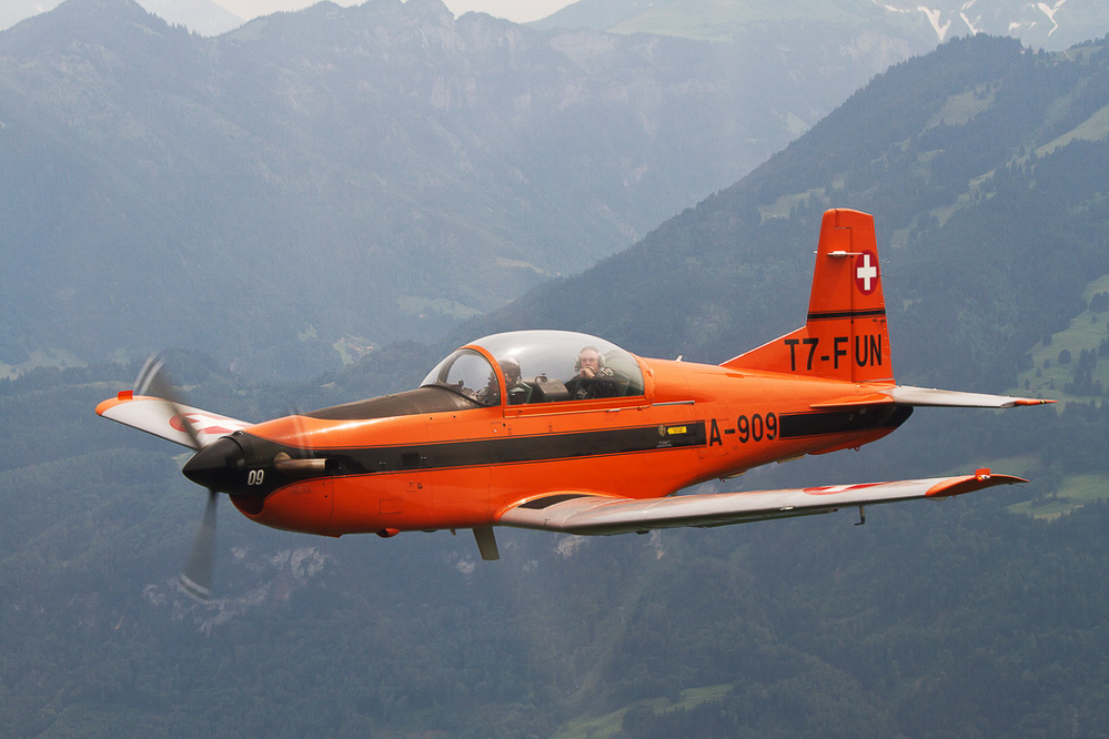 ziger12_140