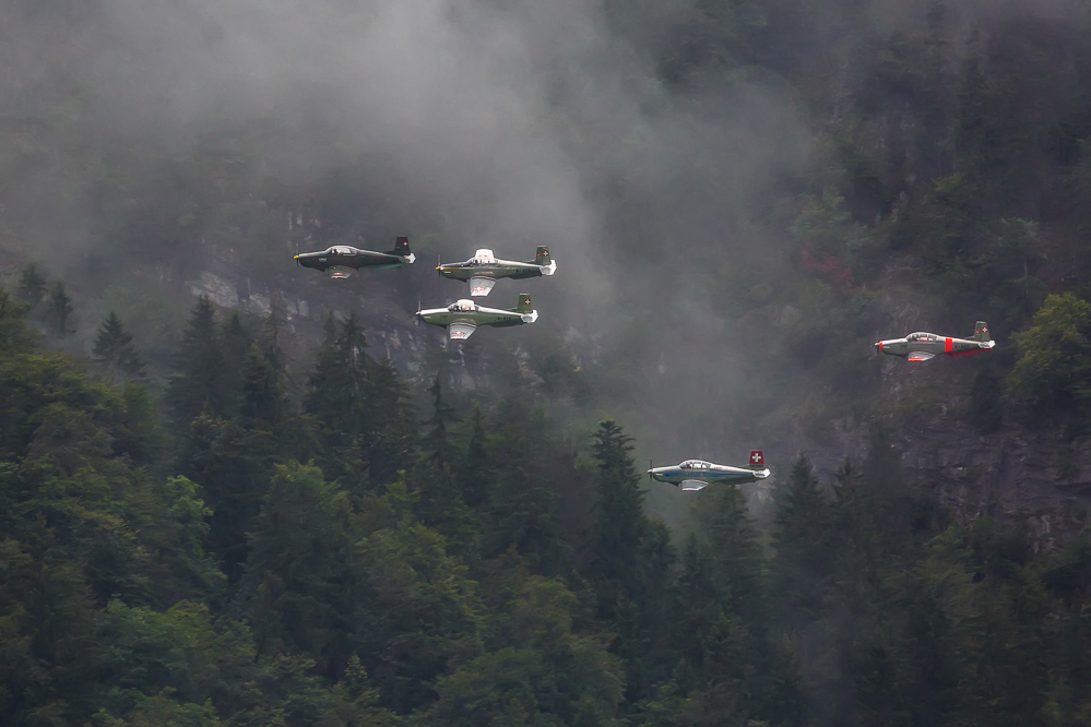 zigermeet_fr_254