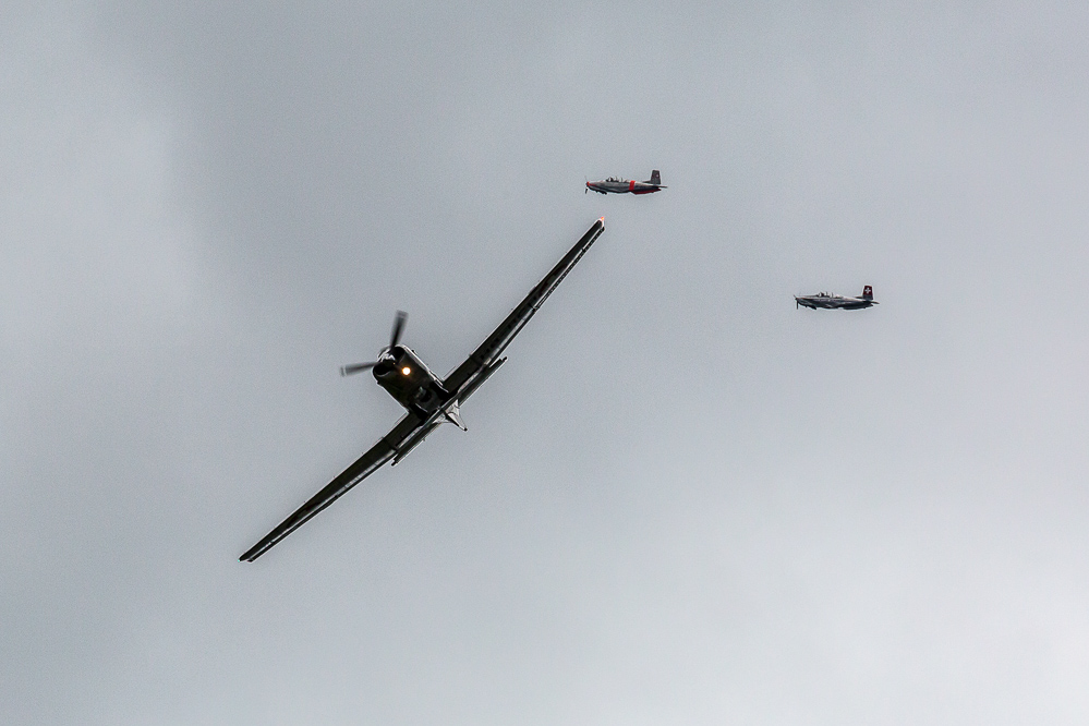 zigermeet_fr_255