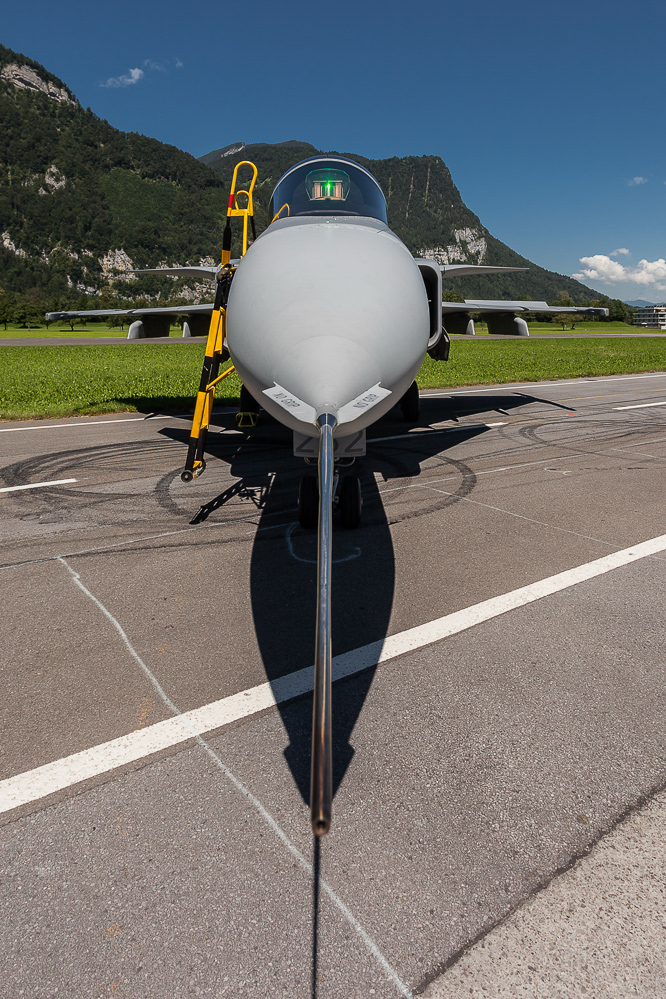 zigermeet_so_812
