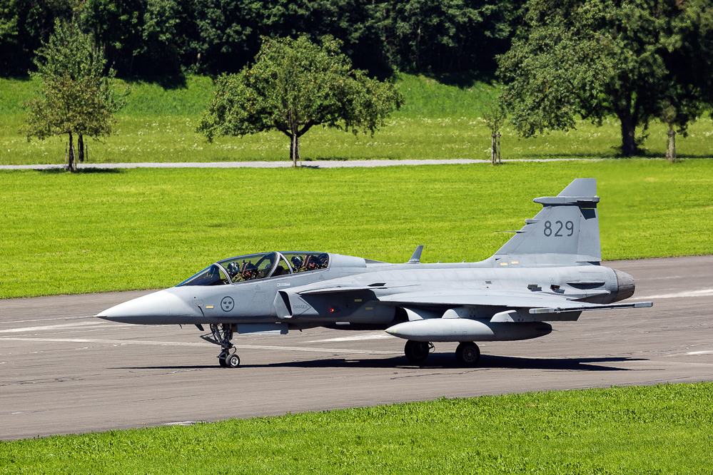 zigermeet_so_829