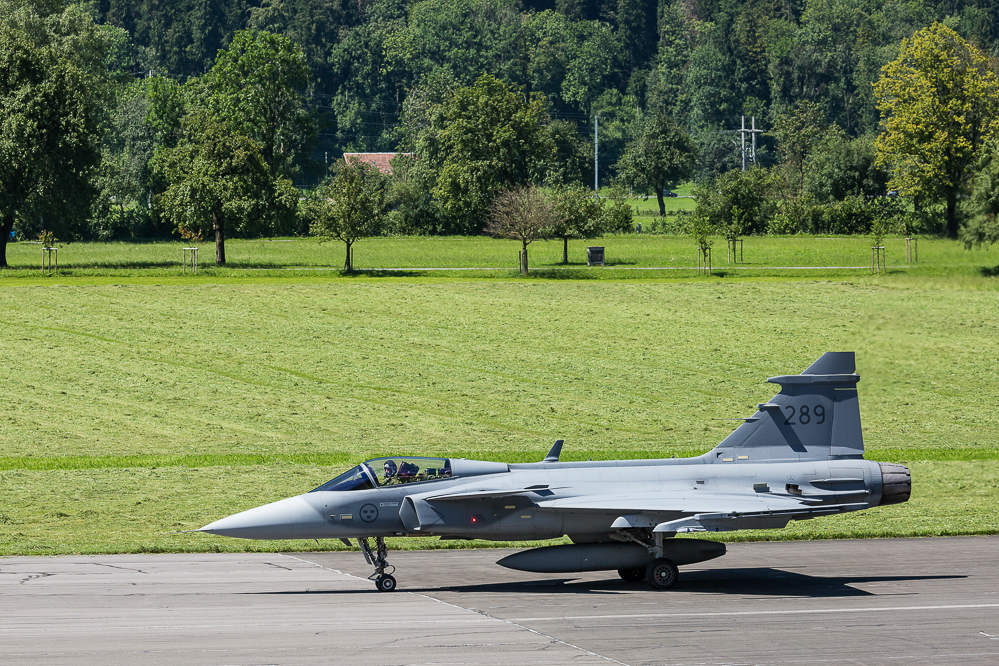 zigermeet_so_833