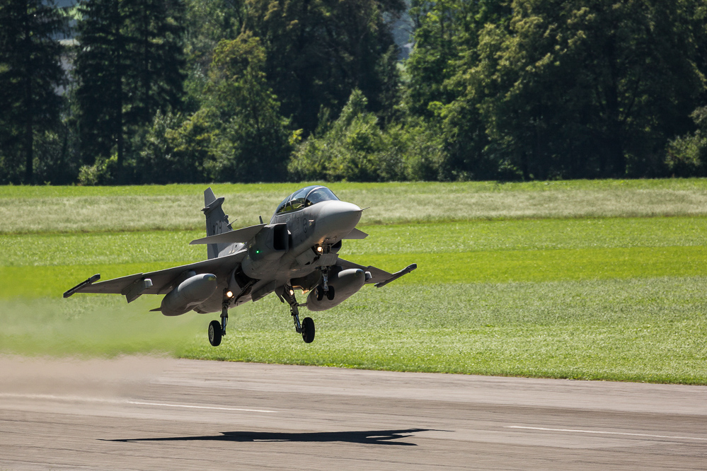 zigermeet_so_836