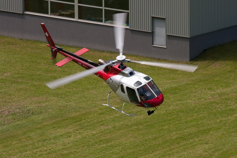 Zigermeet - 019 - Ecureuil Heli-Linth