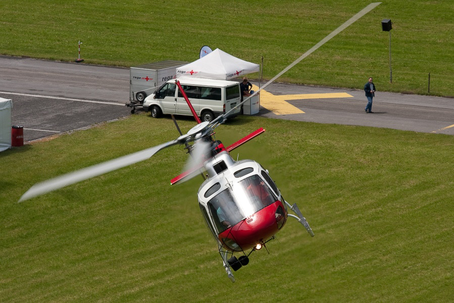 Zigermeet - 020 - Ecureuil Heli-Linth