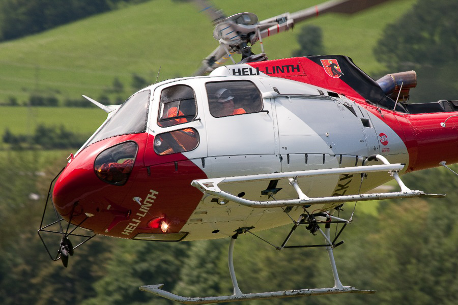 Zigermeet - 021 - Ecureuil Heli-Linth