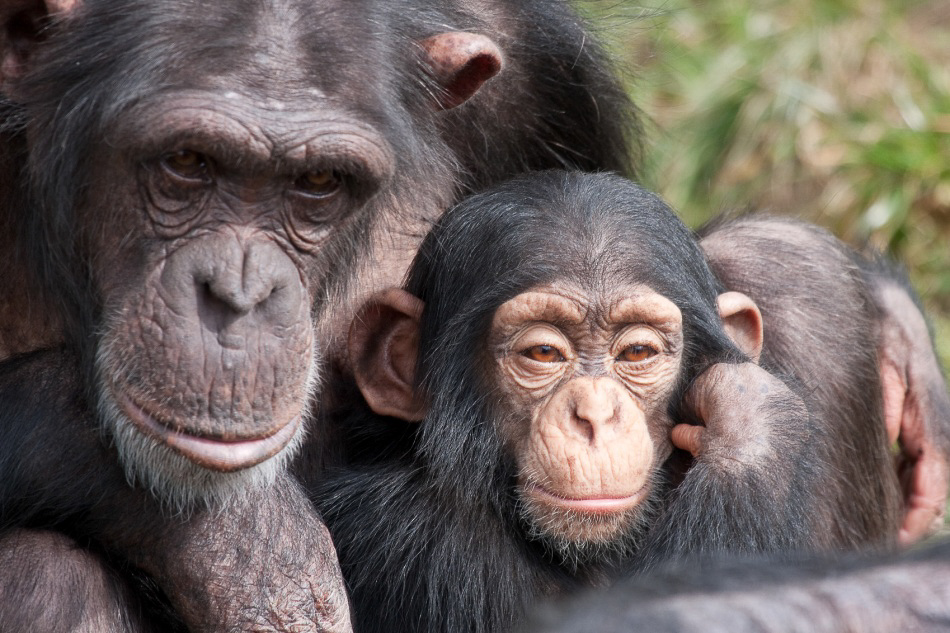 002 - Zoo - ©MD