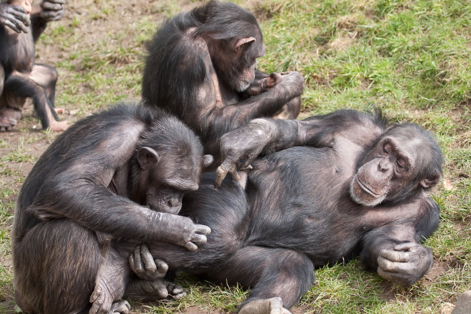 003 - Zoo - ©MD