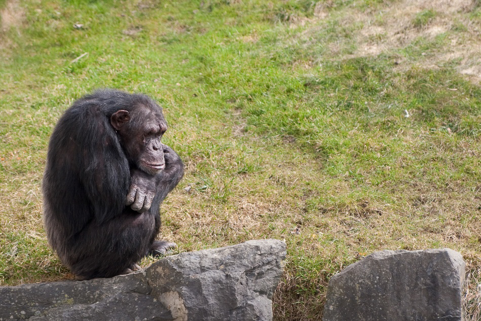 004 - Zoo - ©MD