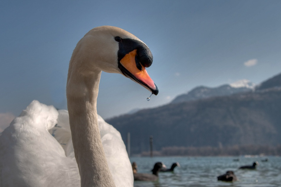 027 - Wildlife - ©MD